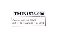 黑脈粉蝶藏品圖，第4張